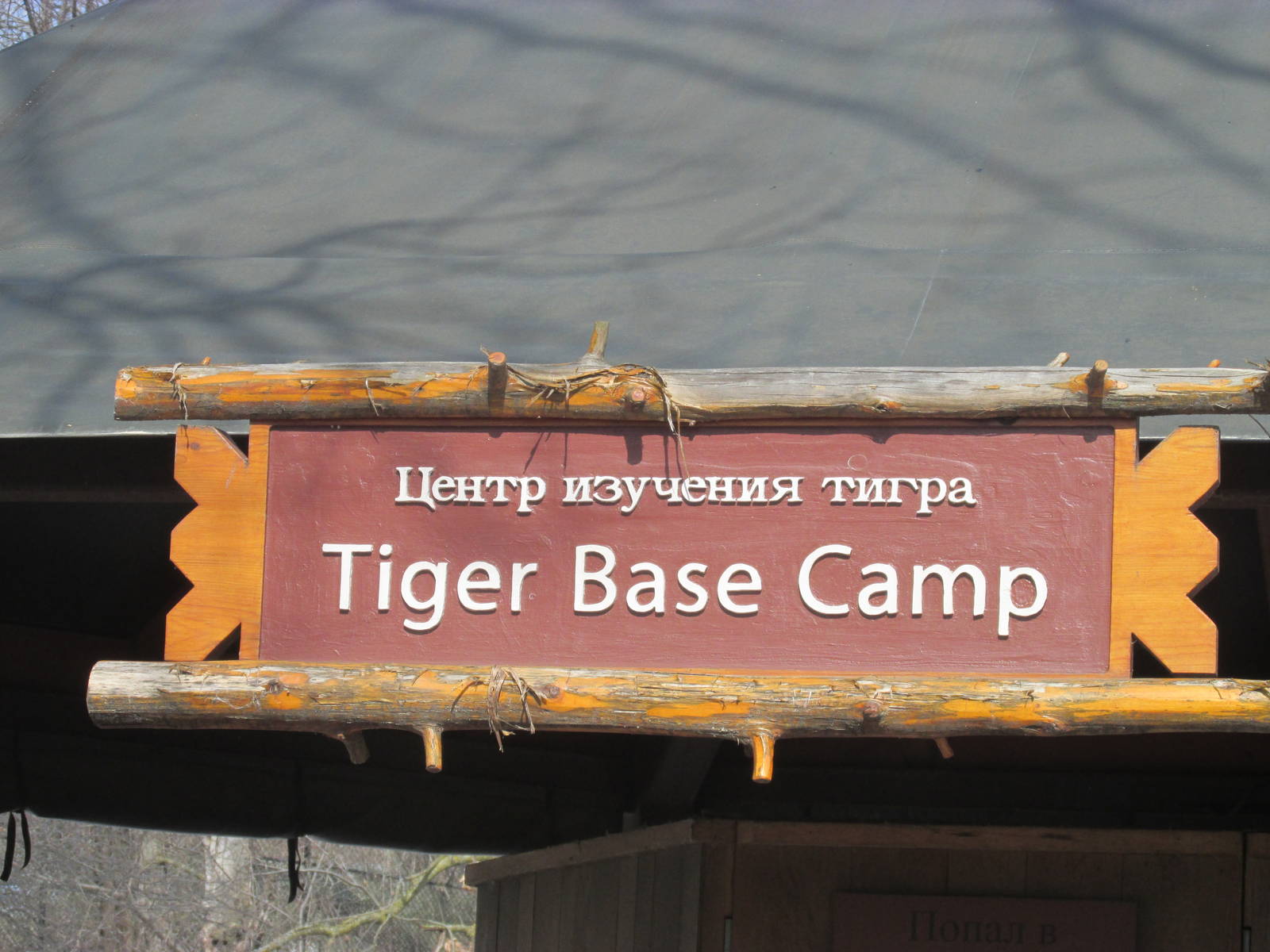Tiger Base Camp