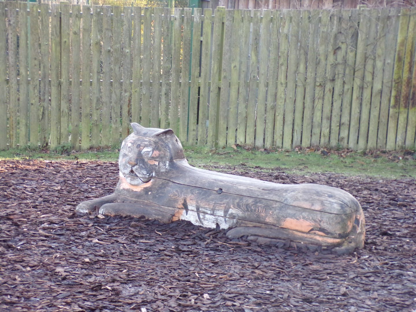 Tiger bench in poor state 1.3.25