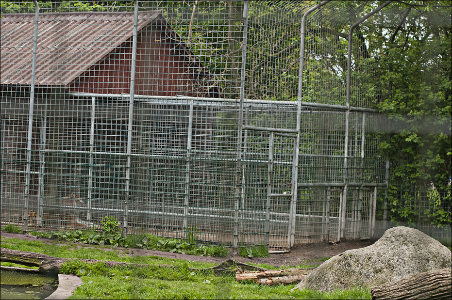 Tiger cage at Thüle
