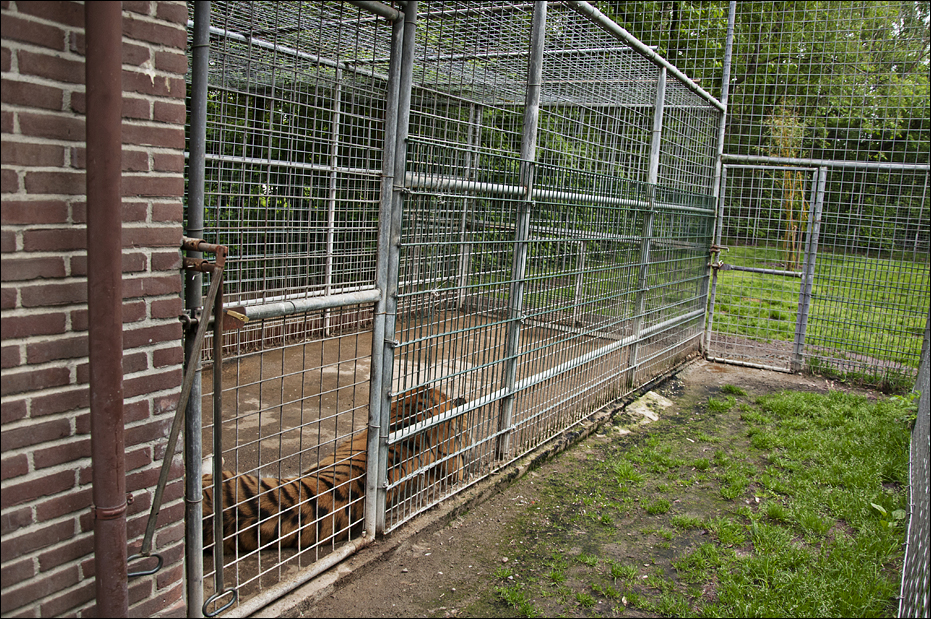 Tiger cage at Thüle
