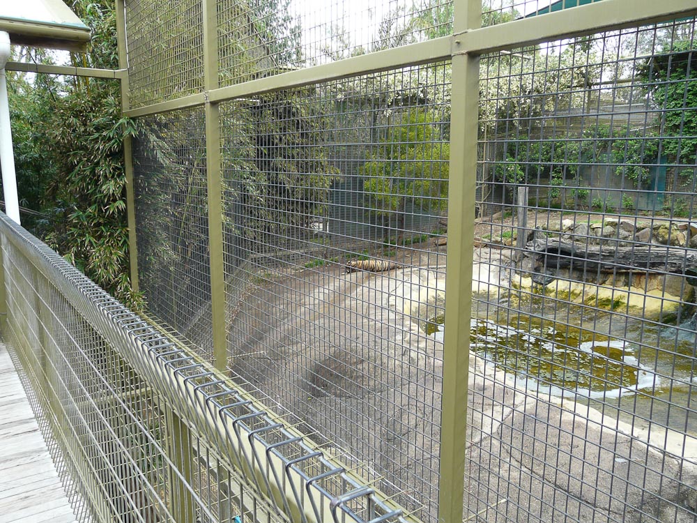 Tiger cage
