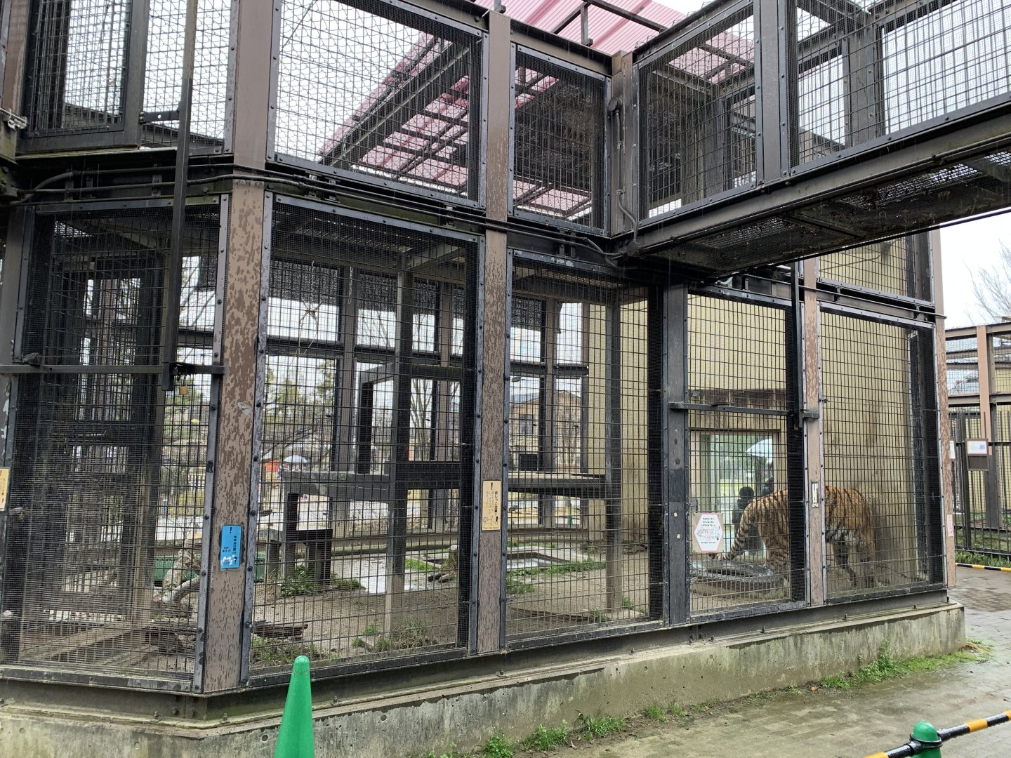 Tiger Cage