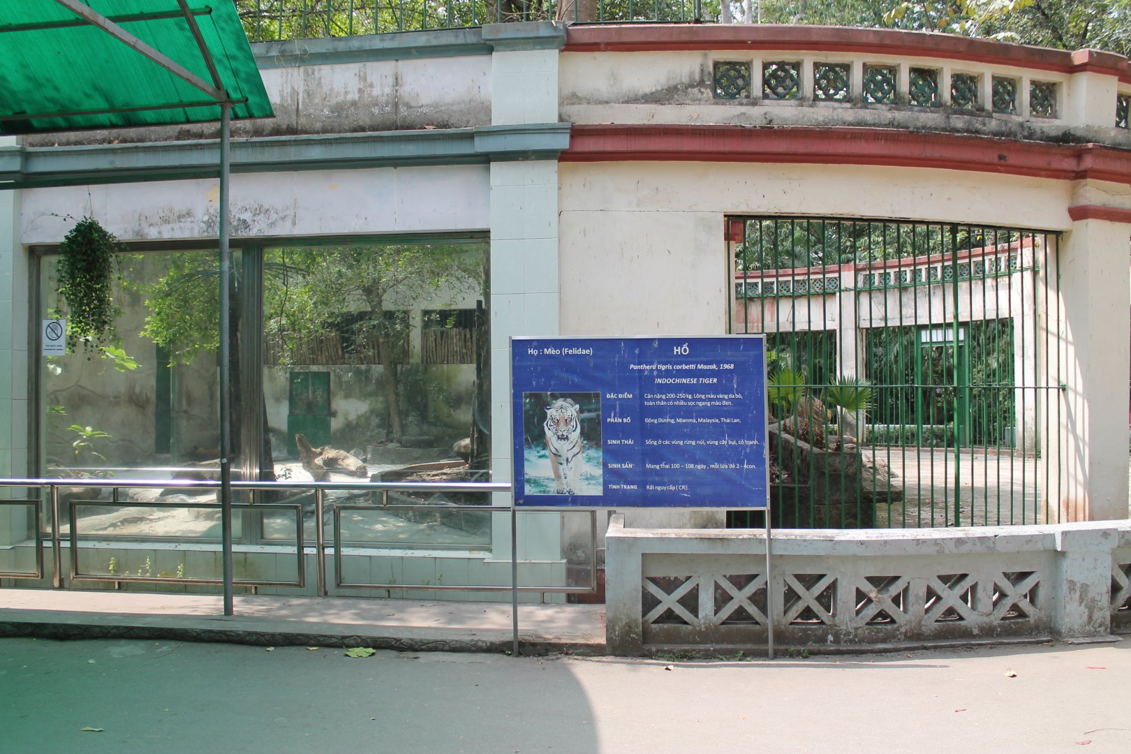 tiger cages: relic to right and new to left