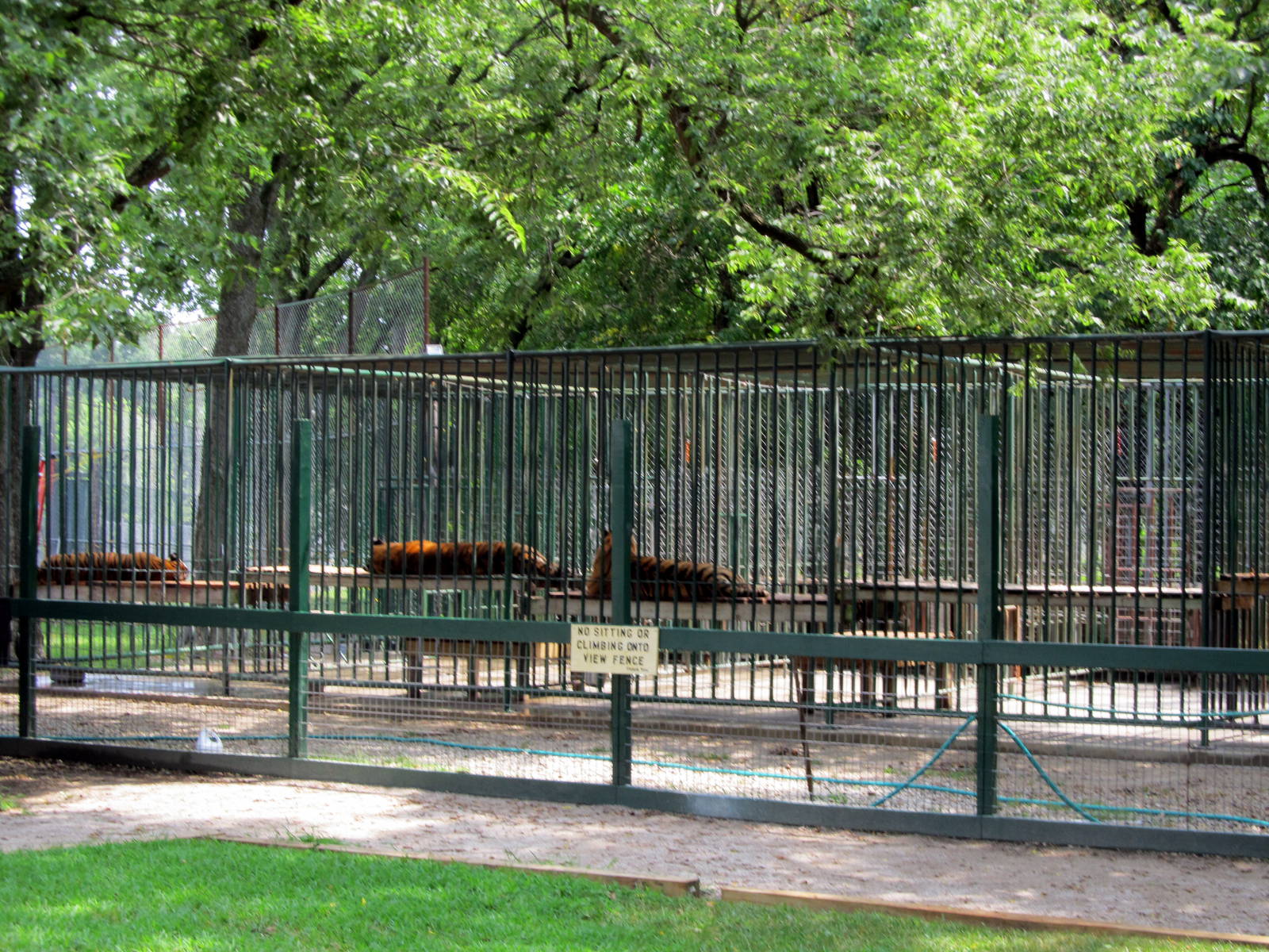 Tiger Cages