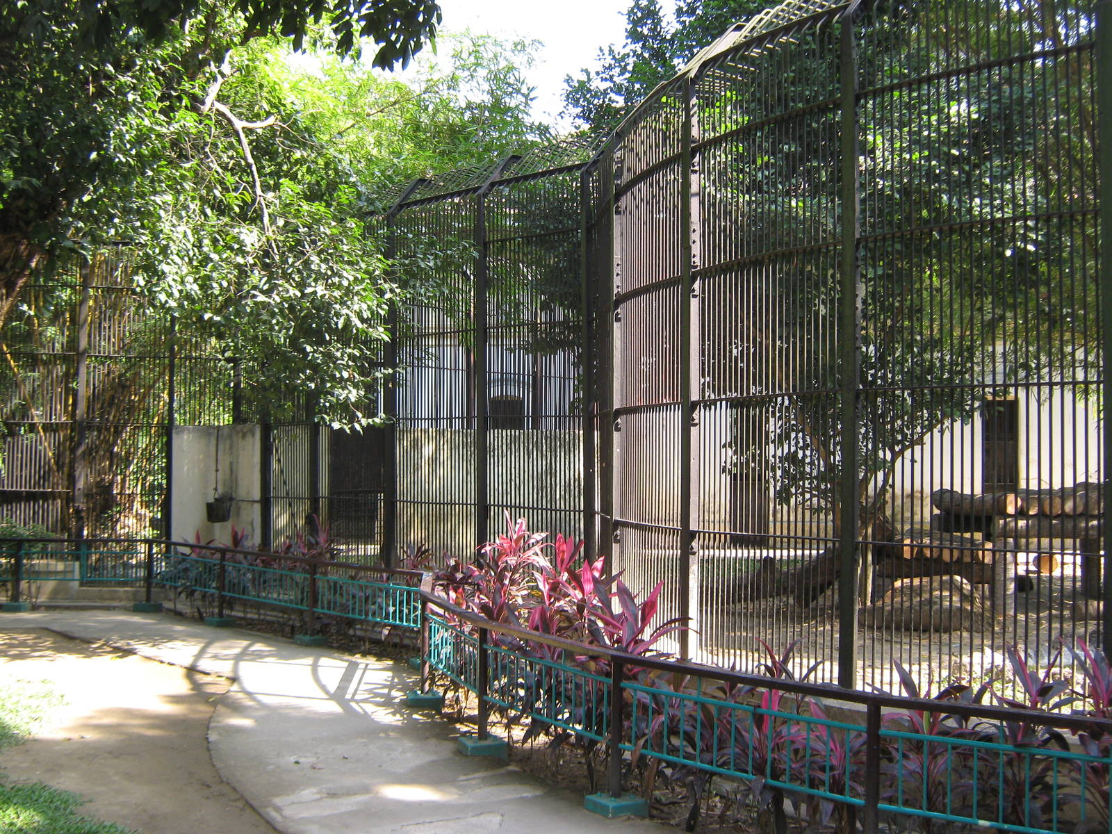 tiger cages
