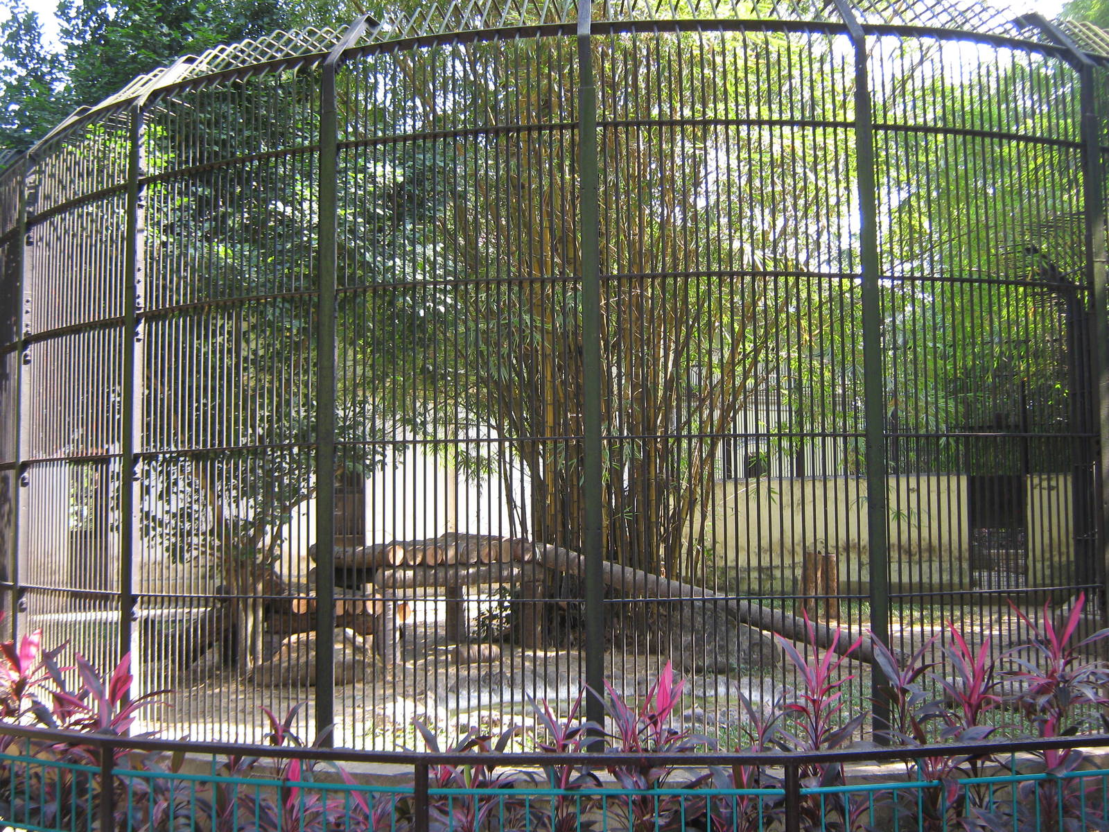 tiger cages