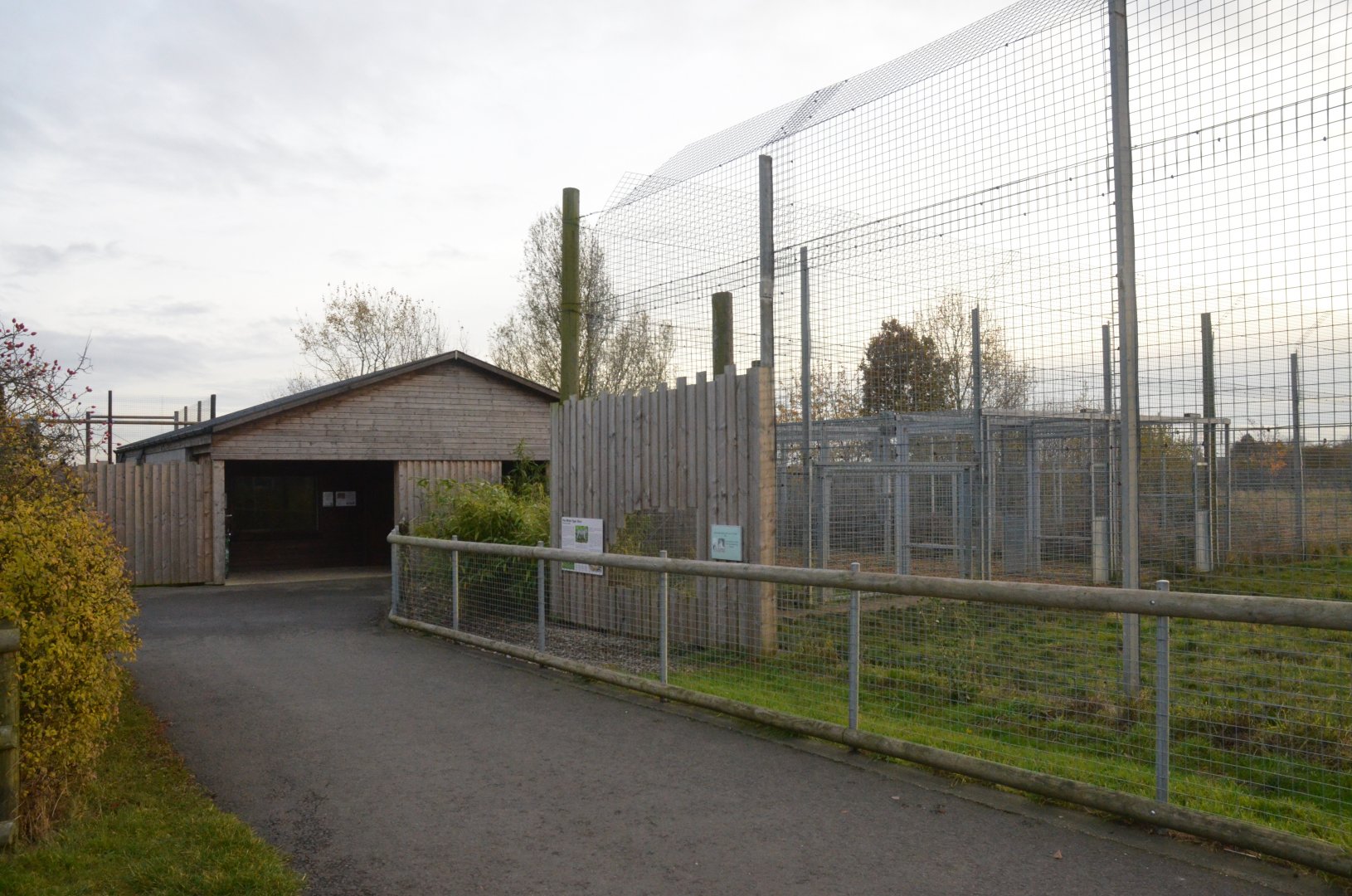 Tiger Complex at Hamerton, 19/11/16