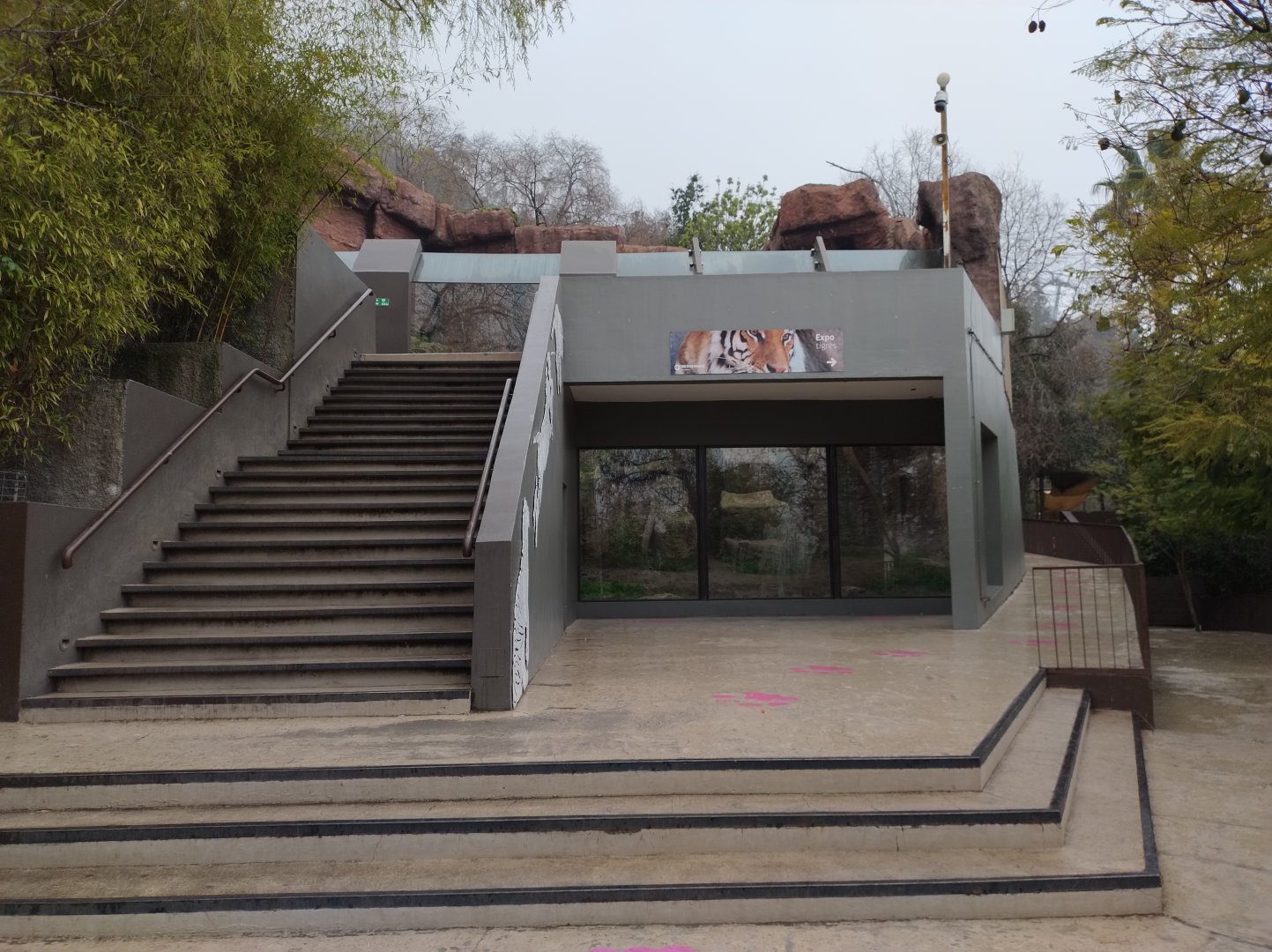 Tiger complex - Santiago zoo (Zoologico nacional)