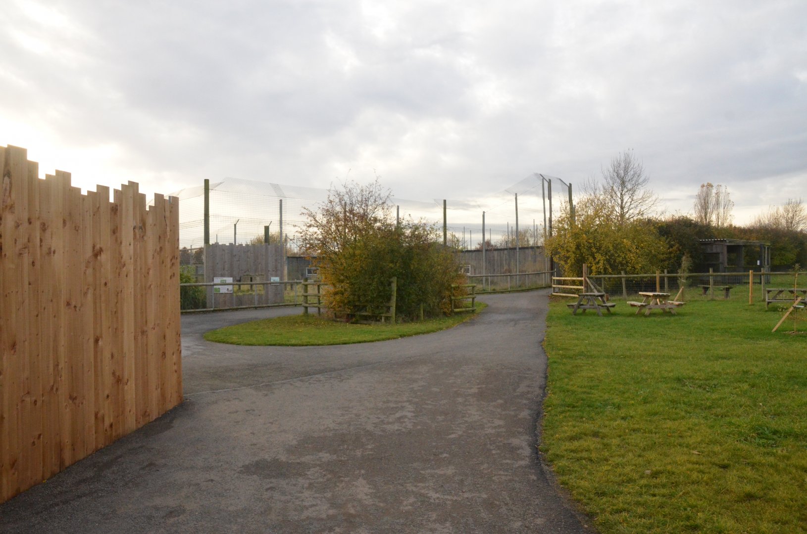 Tiger Complex View at Hamerton, 19/11/16