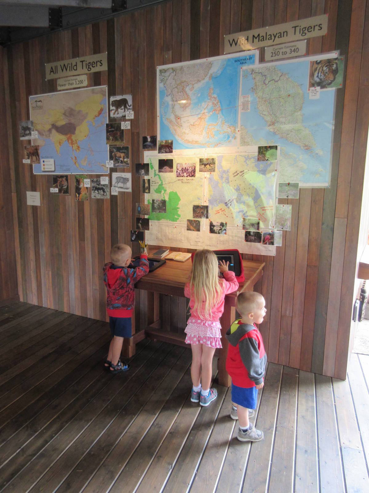 Tiger Conservation Center (with 3 out of 4 Snow Leopard cubs!)