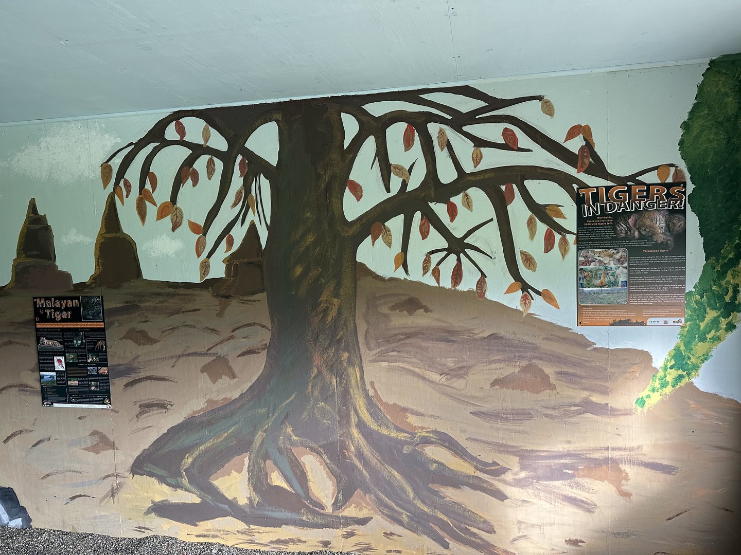 Tiger Conservation Signage at Hamerton Zoo Park (October 2023)