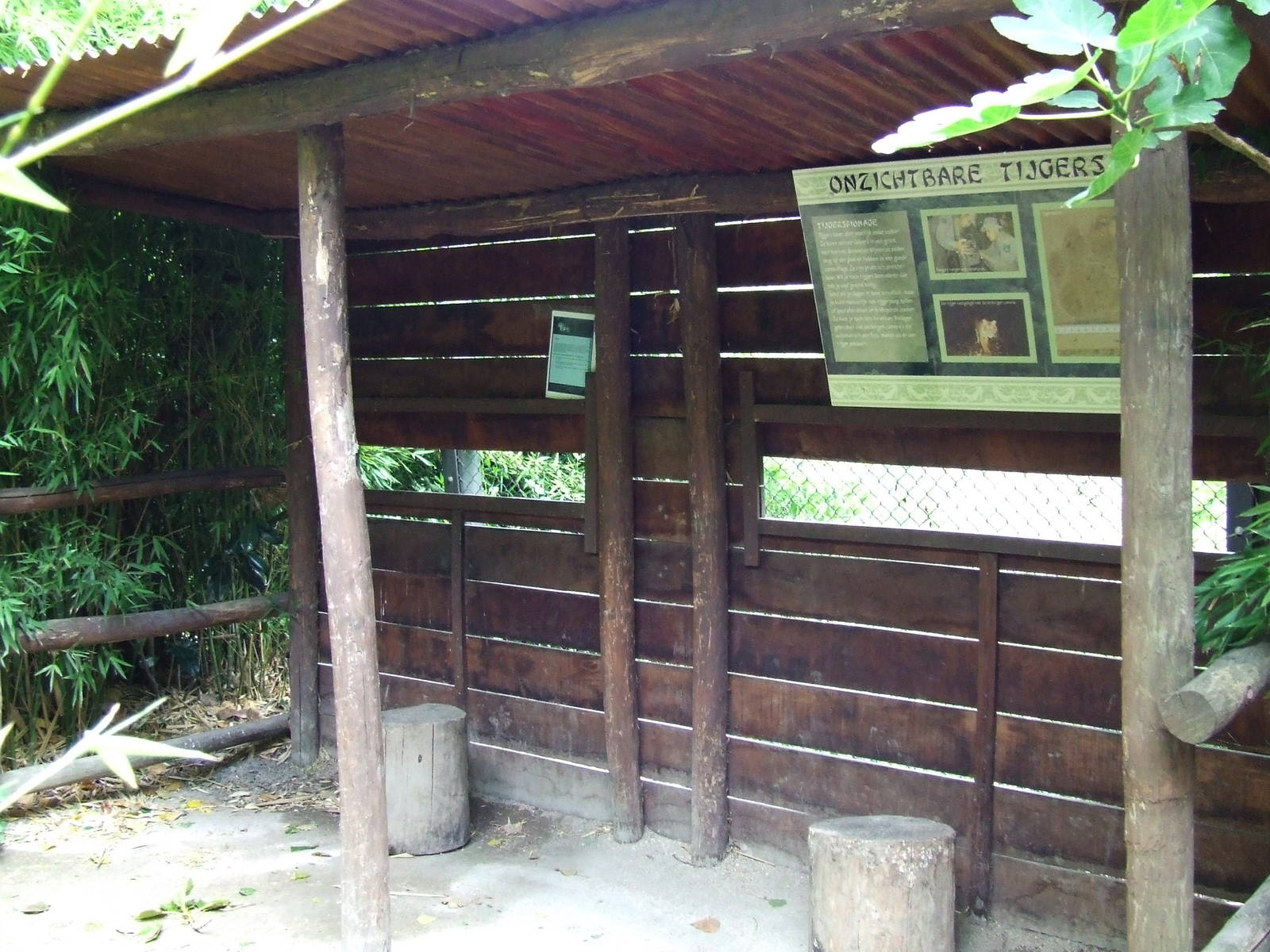 Tiger Creek, viewing point