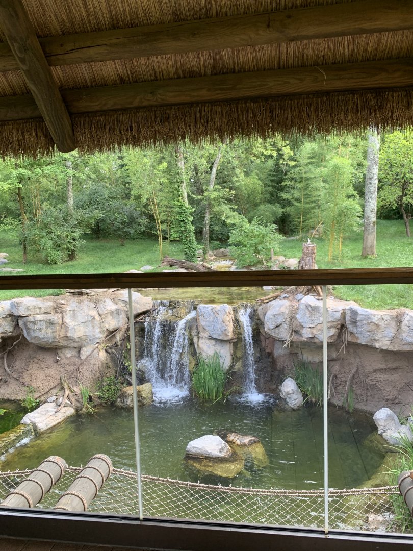 Tiger Crossroads: Sumatran Tiger Exhibit