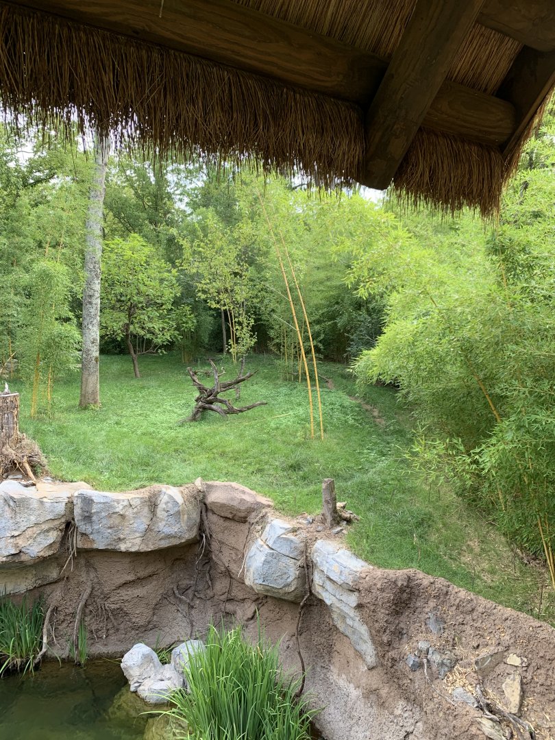 Tiger Crossroads: Sumatran Tiger Exhibit