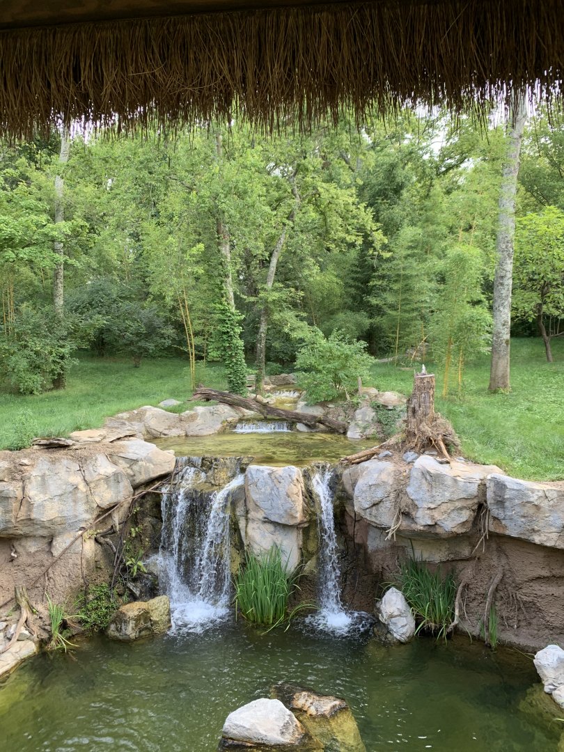 Tiger Crossroads: Sumatran Tiger Exhibit