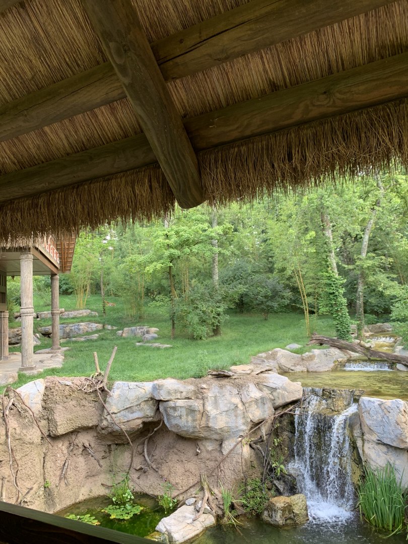 Tiger Crossroads: Sumatran Tiger Exhibit