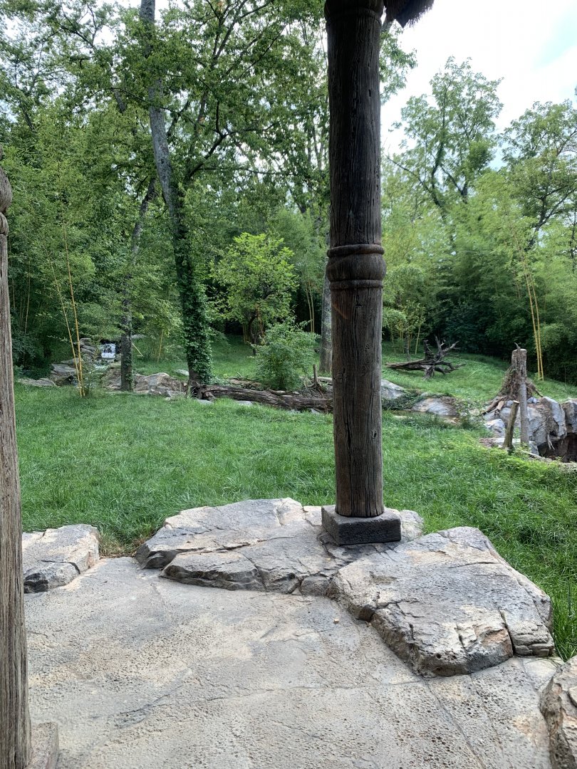 Tiger Crossroads: Sumatran Tiger Exhibit