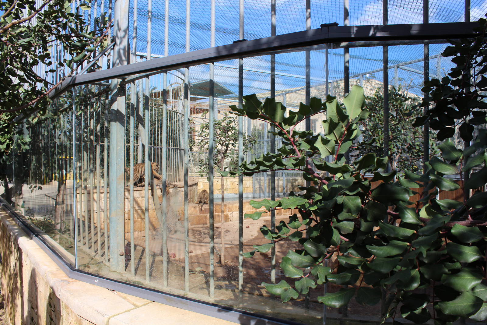 Tiger cub Enclosure - MonteKristo Animal Park, Malta