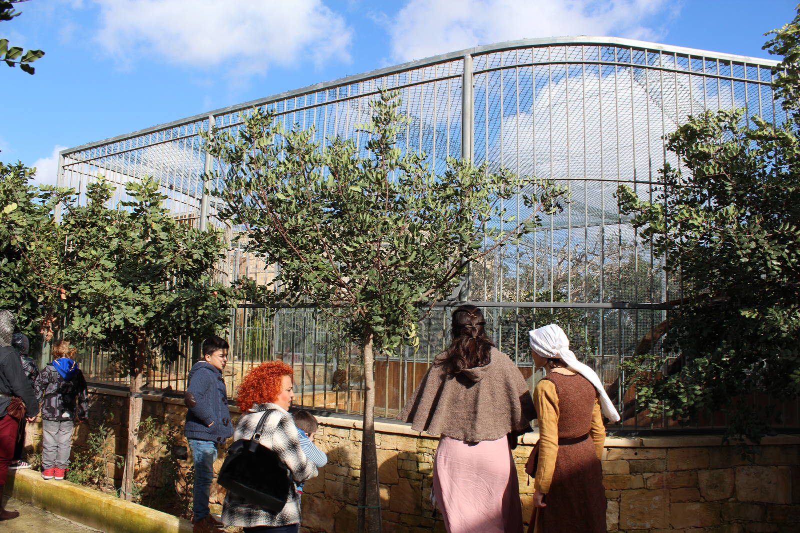 Tiger cub Enclosure - MonteKristo Animal Park, Malta