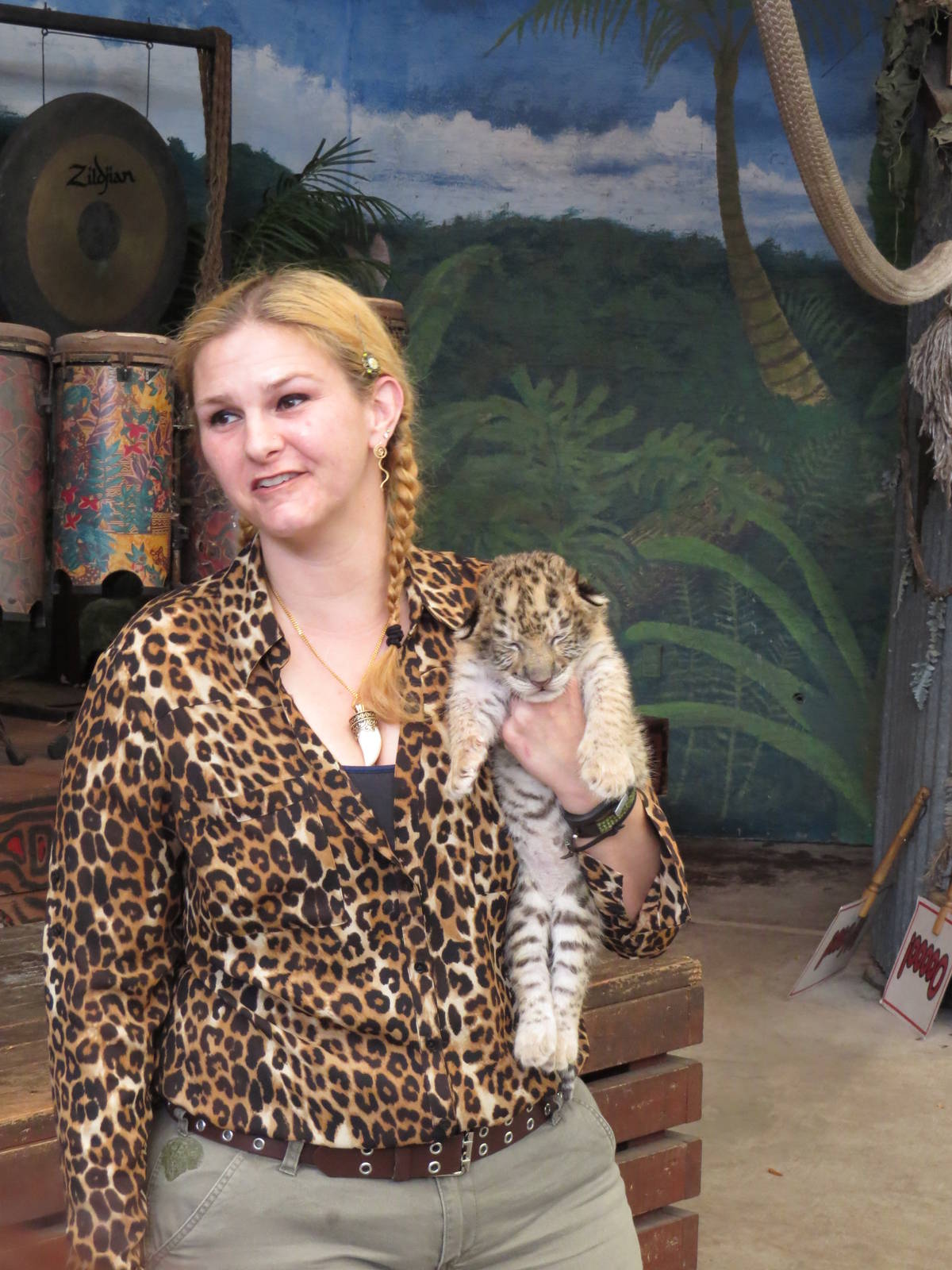 Tiger cub in the show, March 2015