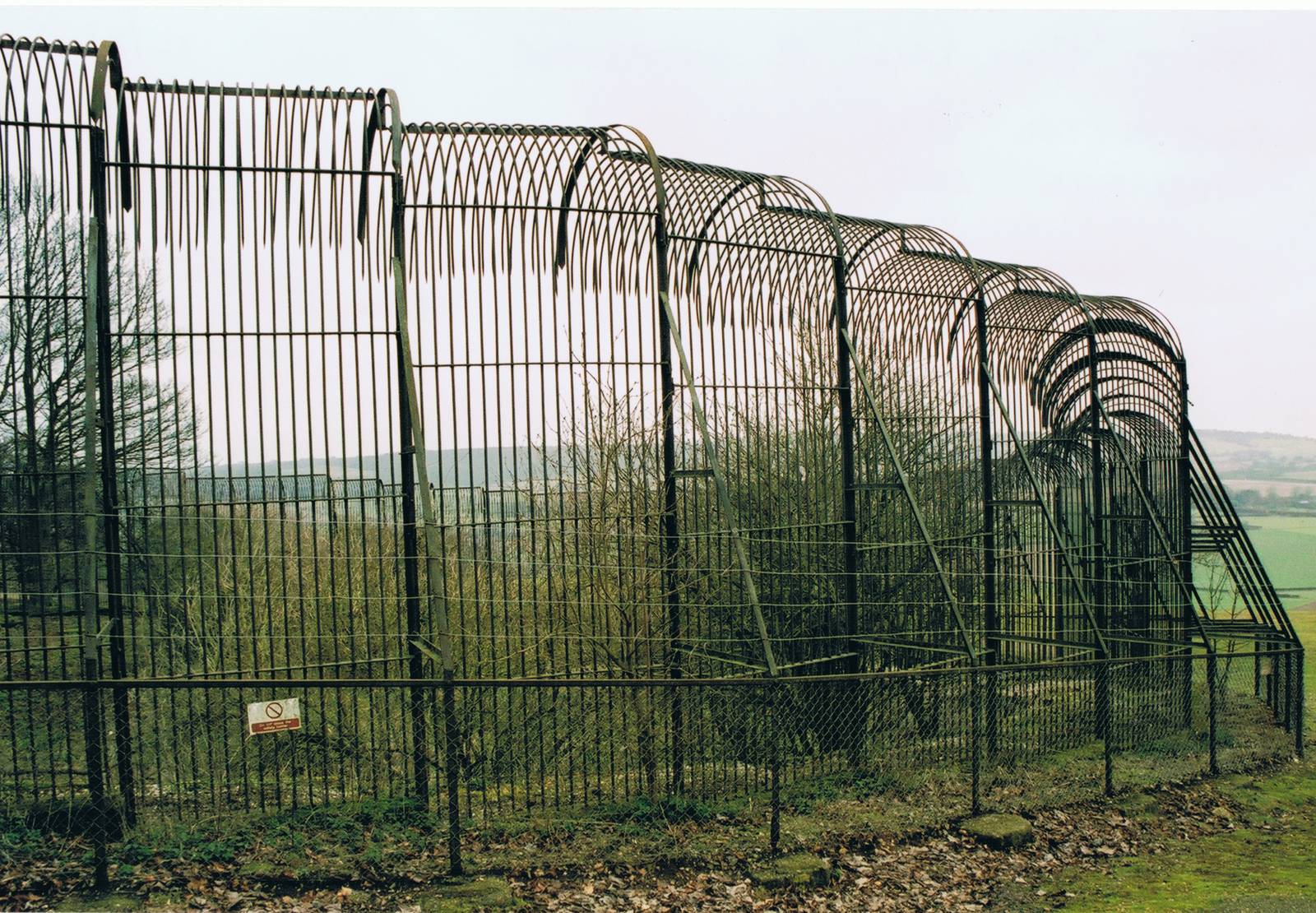 Tiger Dell @ Whipsnade; 15.03.04