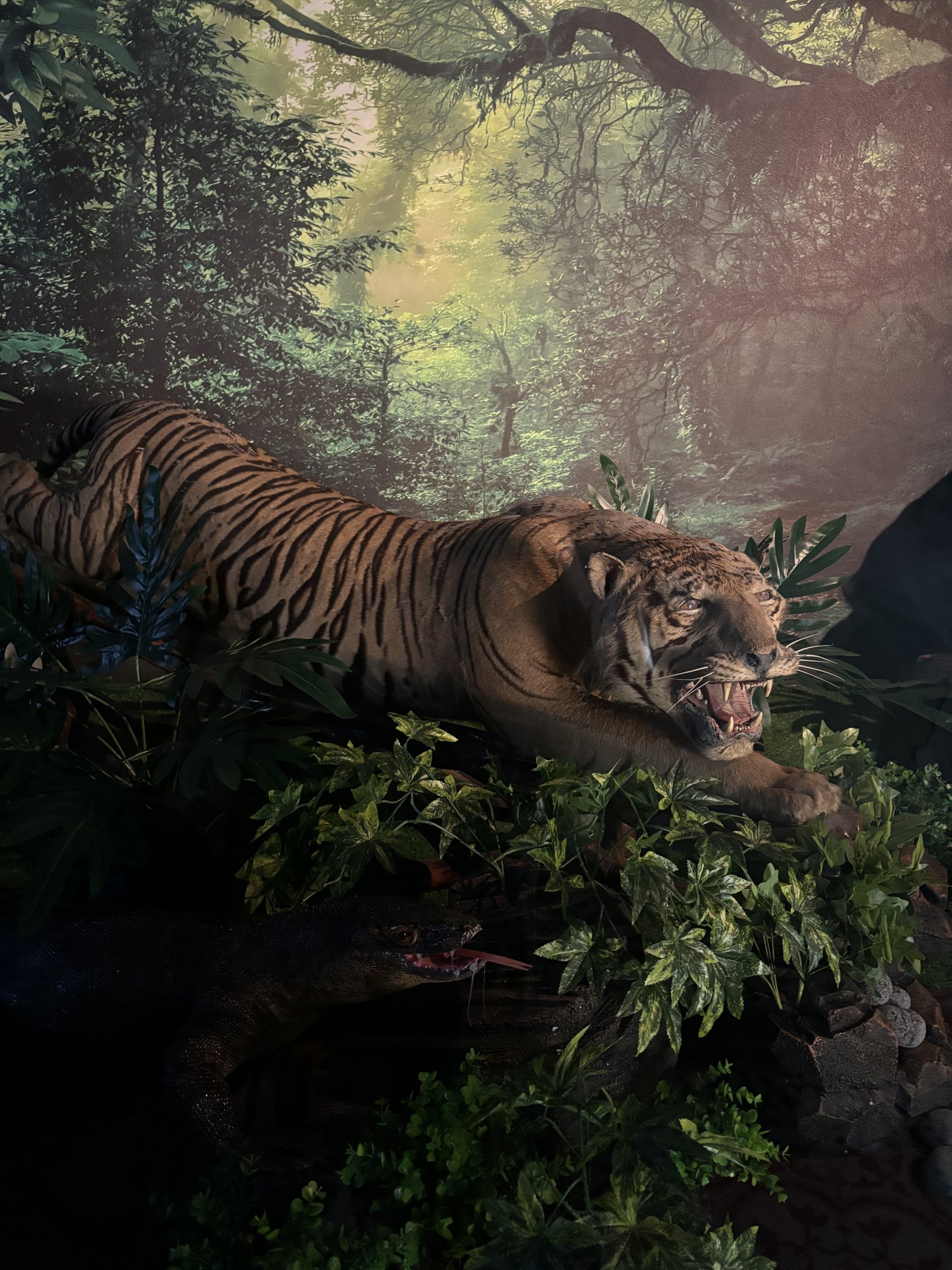 Tiger Diorama