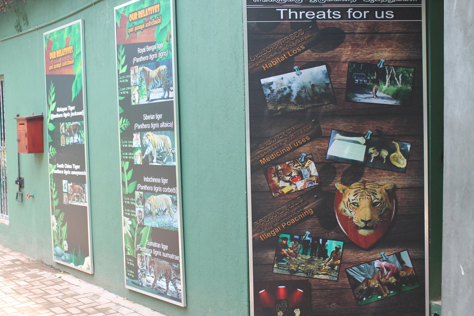 Tiger educational material