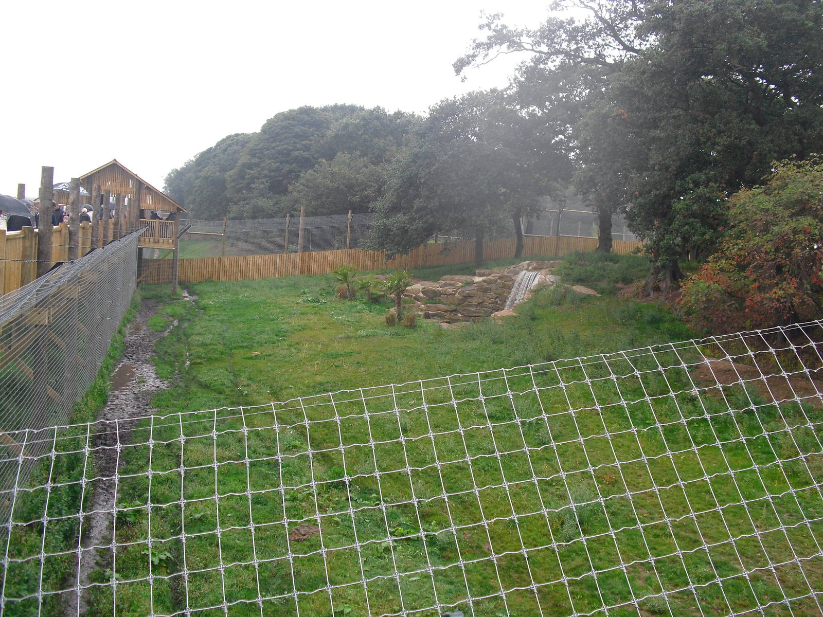 Tiger Enclosure - 06/09/2011