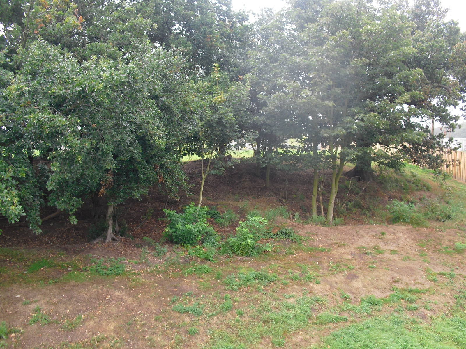 Tiger Enclosure - 06/09/2011