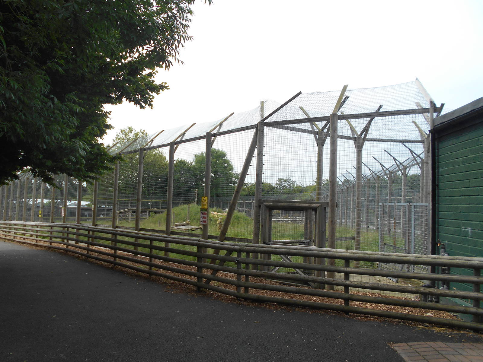 Tiger enclosure - 10/06/2016