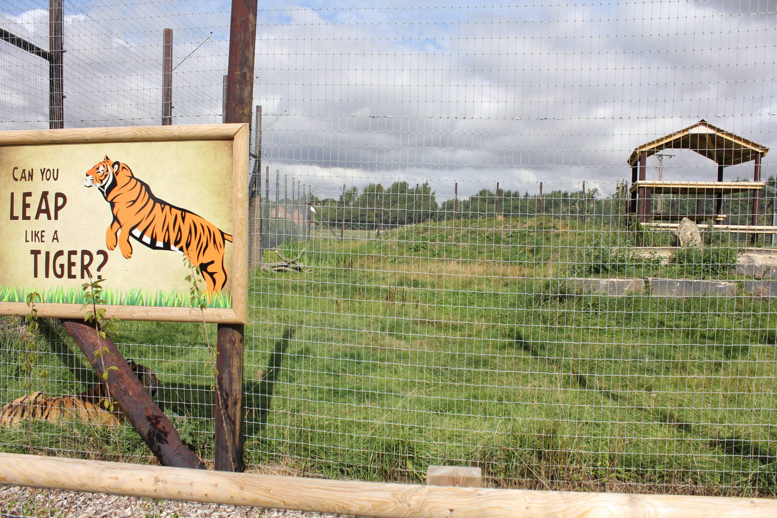Tiger enclosure 15-8-14