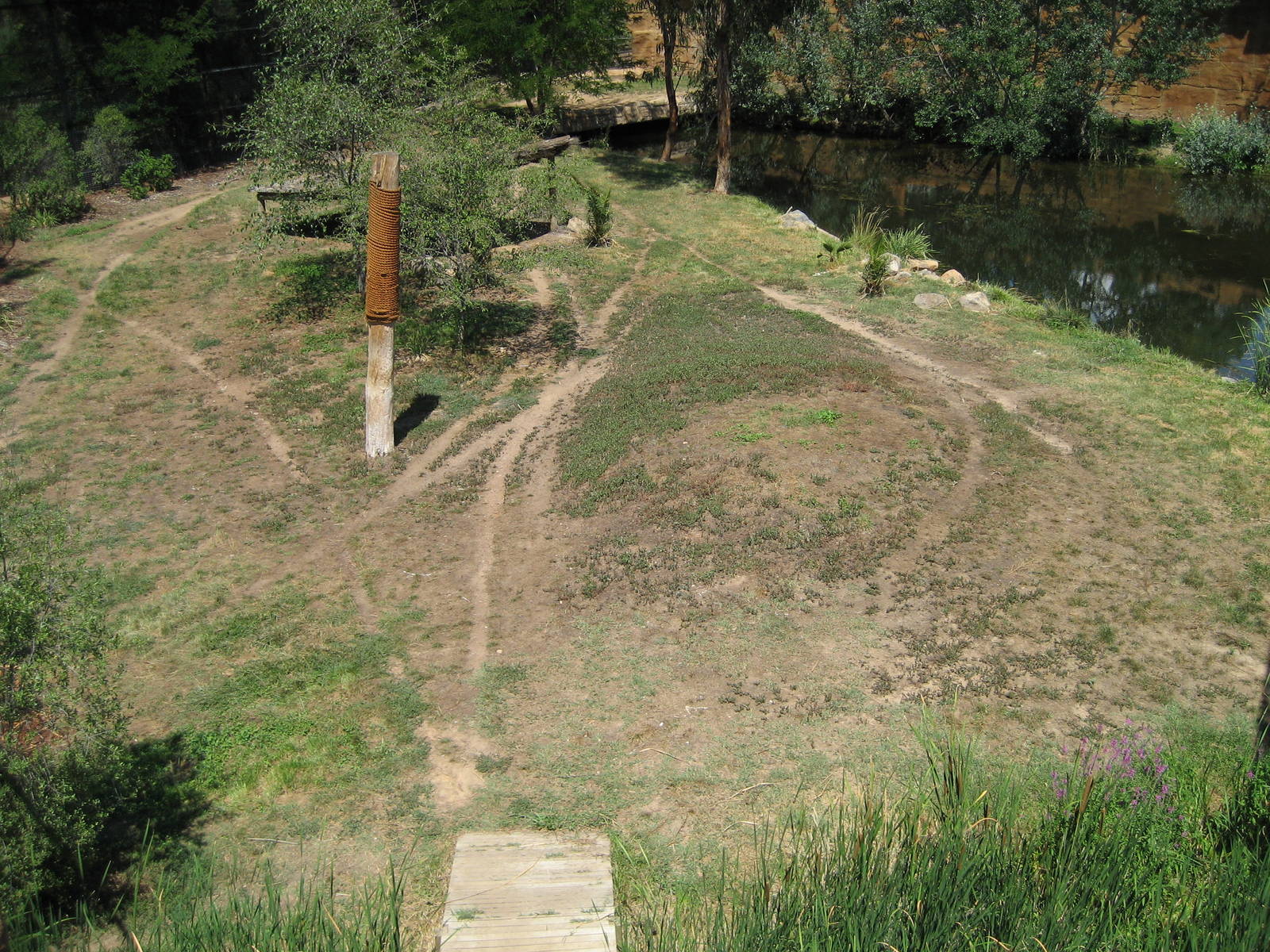 Tiger enclosure - 2007