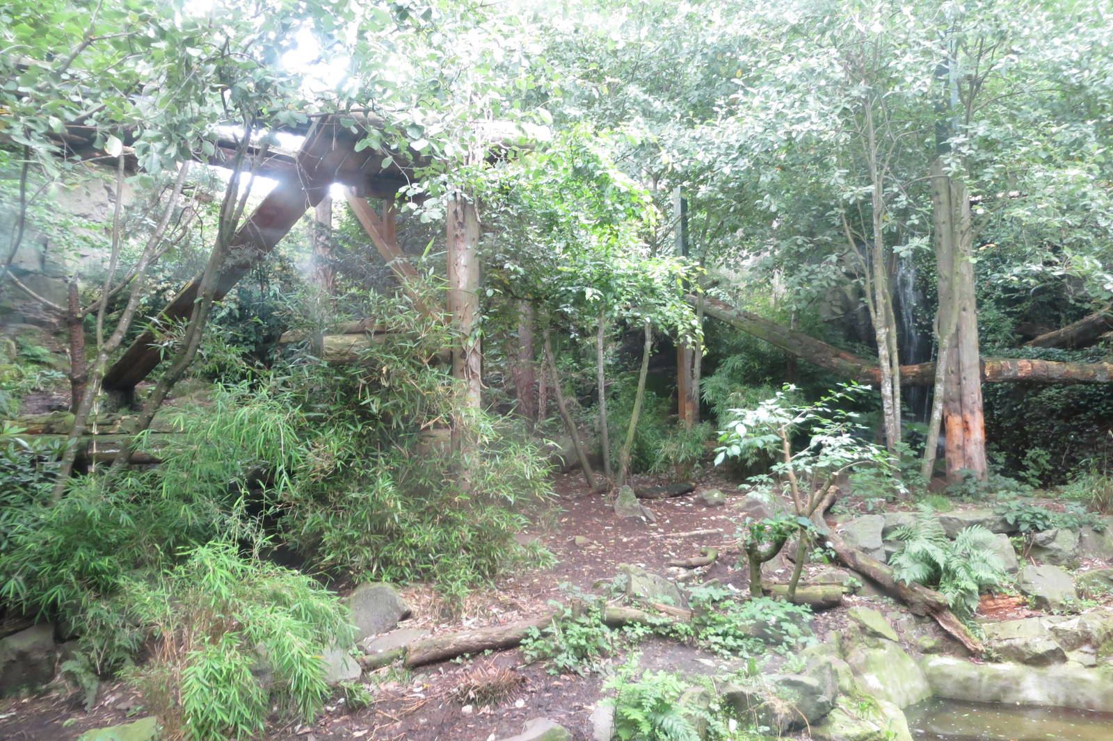 Tiger enclosure 240815
