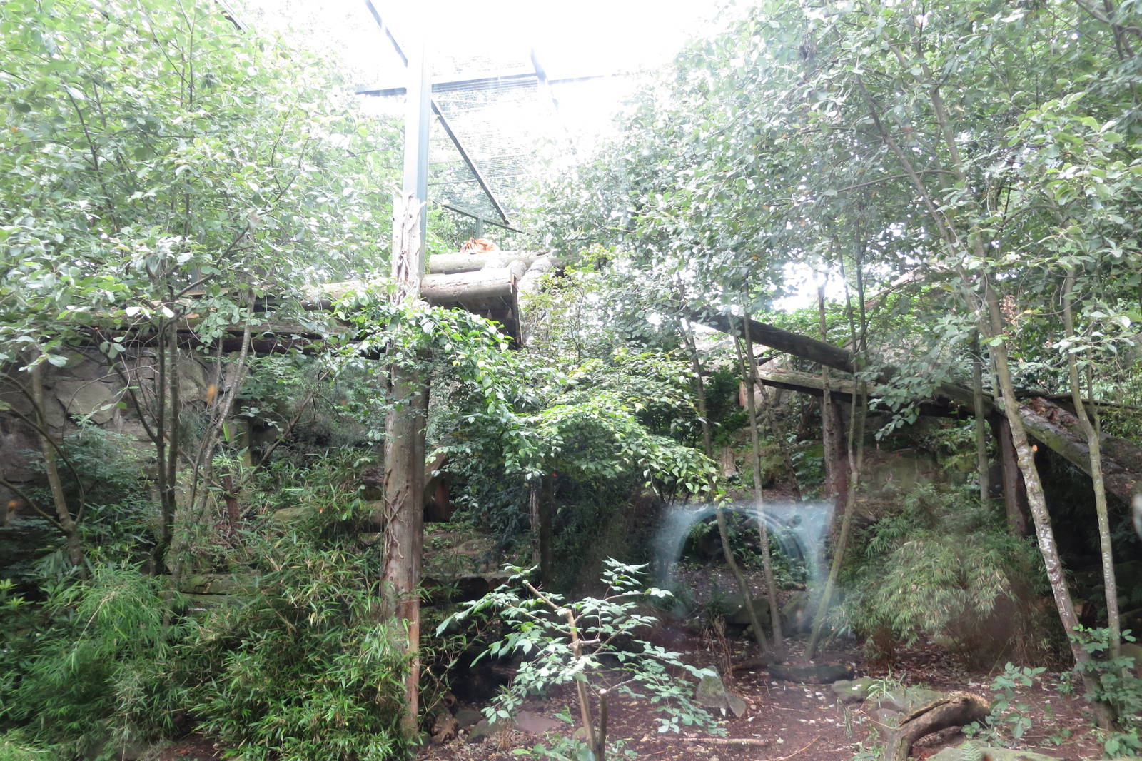 Tiger enclosure 240815