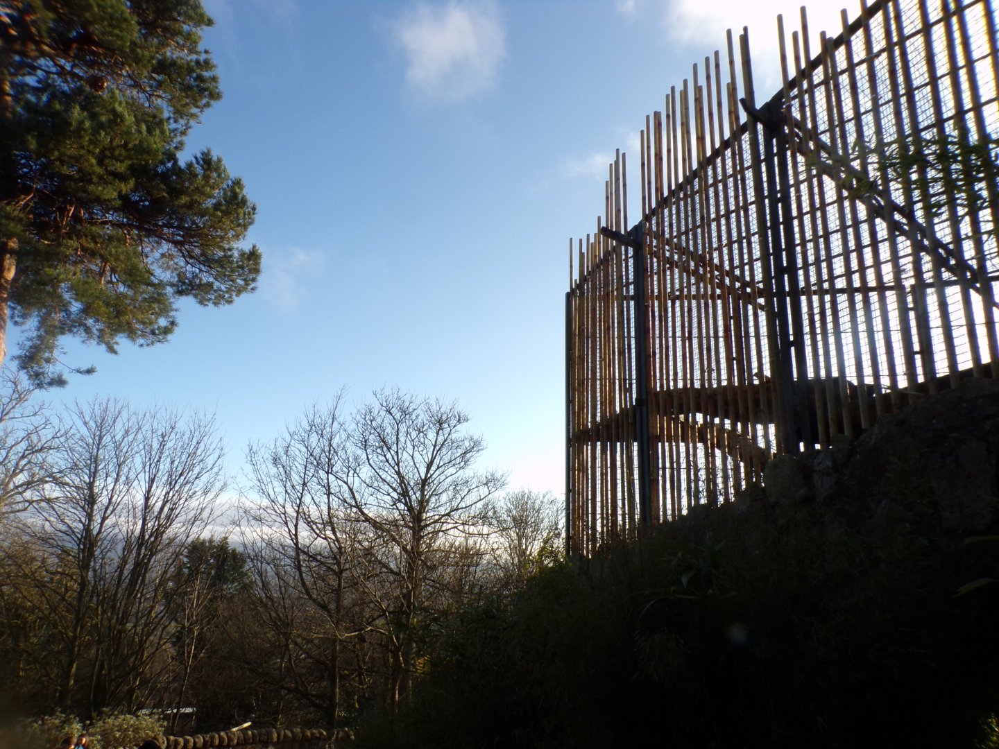 Tiger enclosure and view 1.3.25