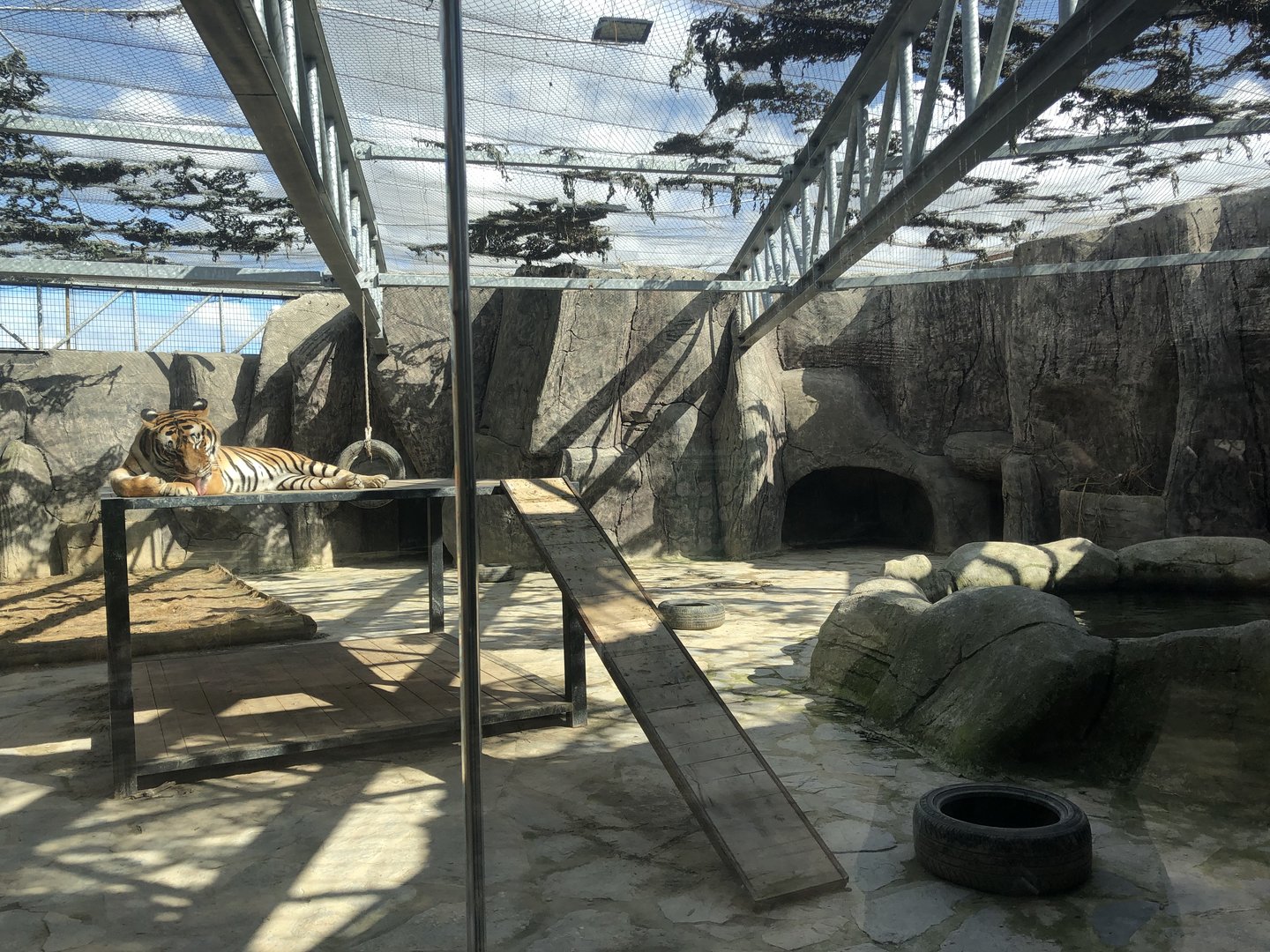 Tiger Enclosure at Aslan Park