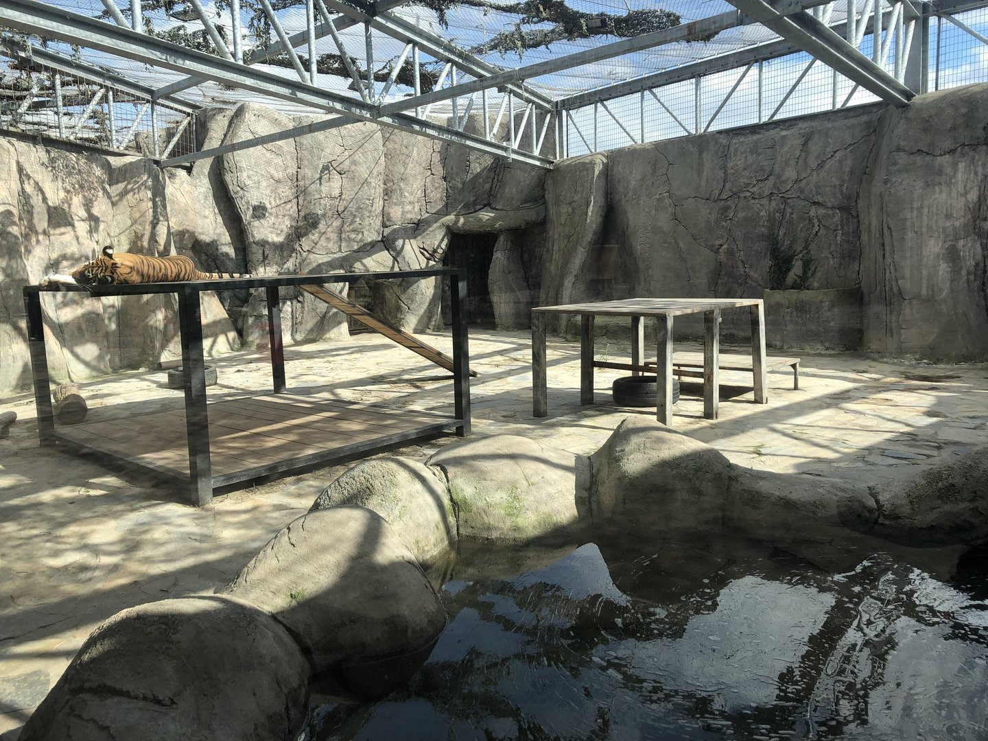 Tiger Enclosure at Aslan Park