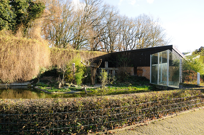 Tiger enclosure at Dortmund