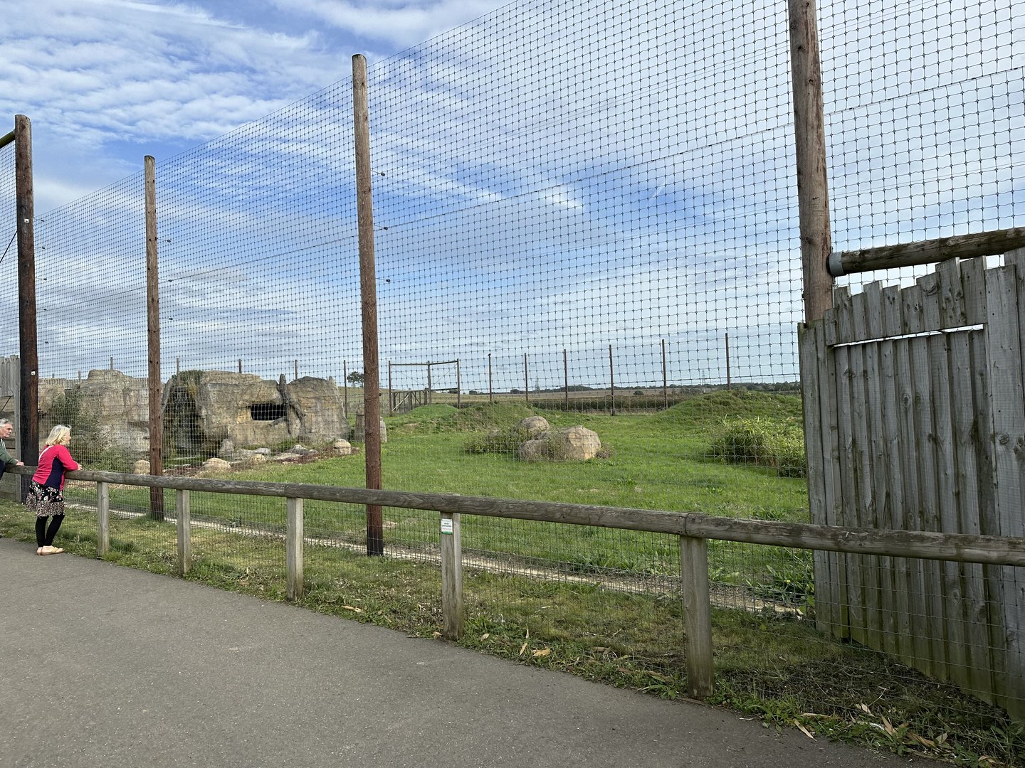 Tiger Enclosure at Hamerton Zoo Park (October 2023)
