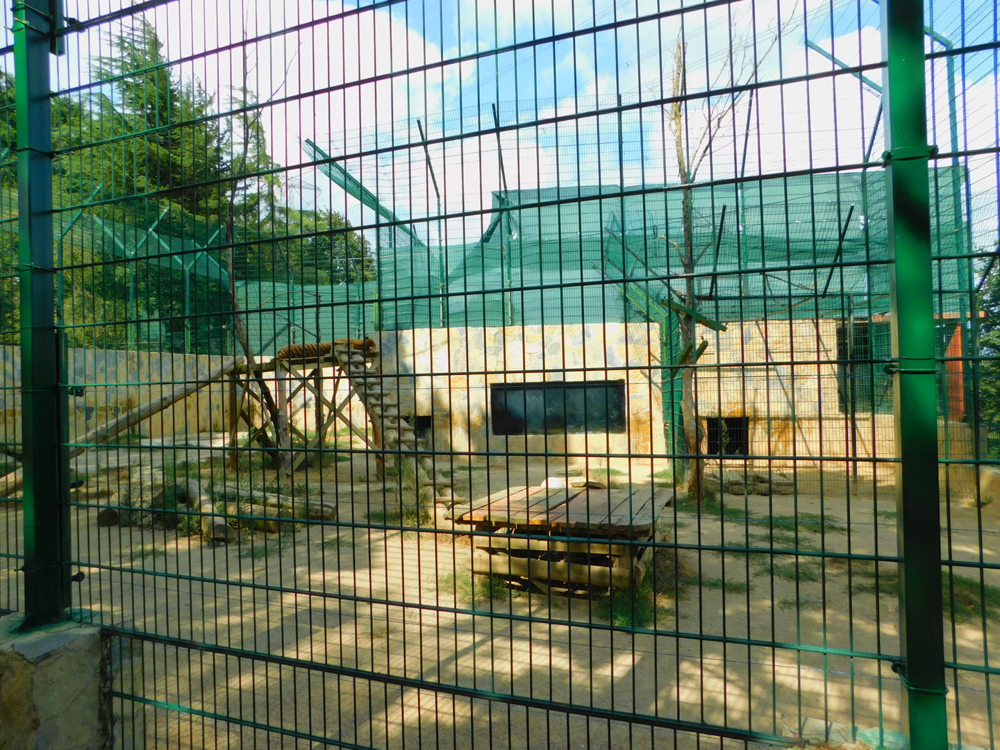 Tiger Enclosure at Park of Istanbul