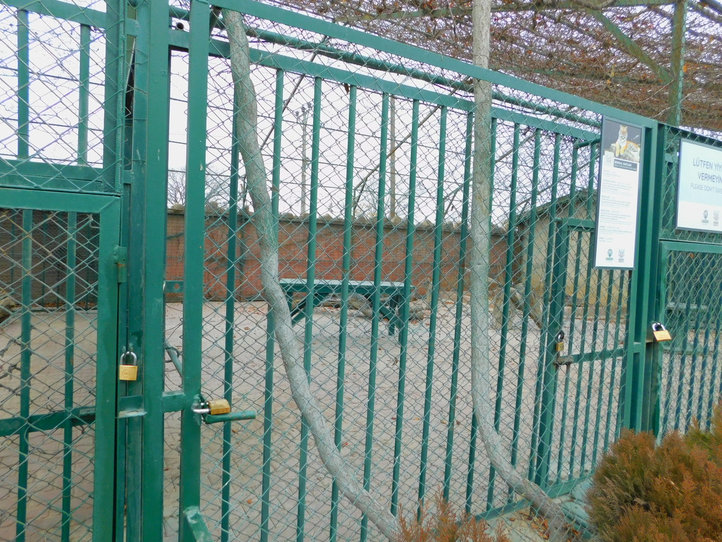 Tiger Enclosure at the Karatay Zoo