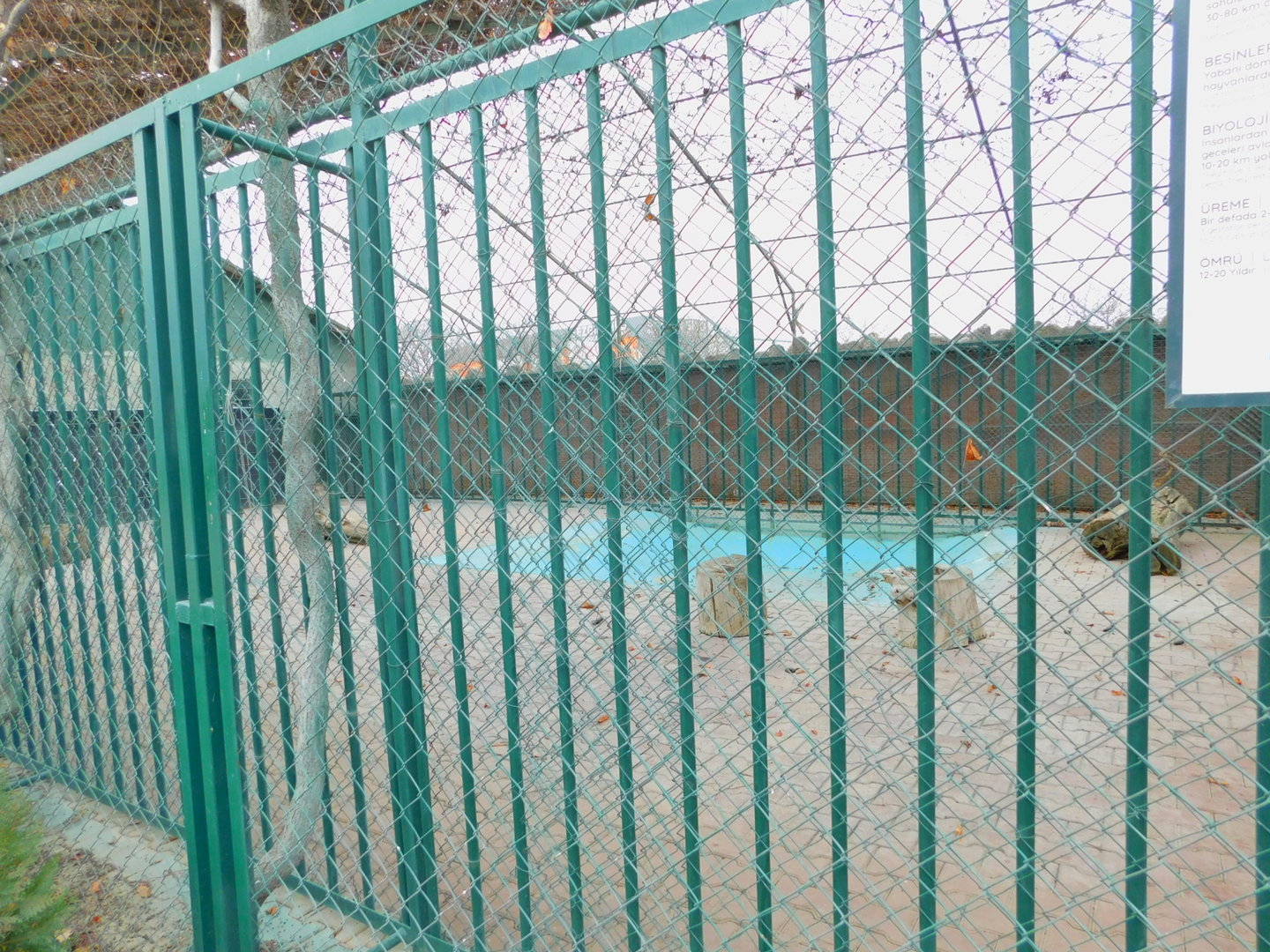 Tiger Enclosure at the Karatay Zoo