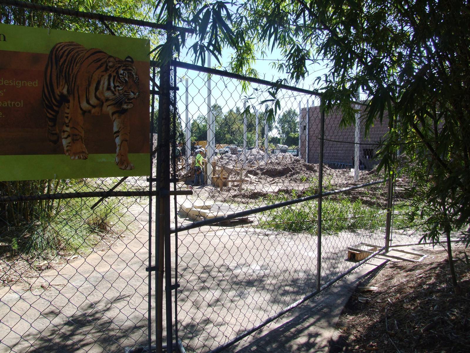 Tiger Enclosure Building Works at Jacksonville, 10/10/13