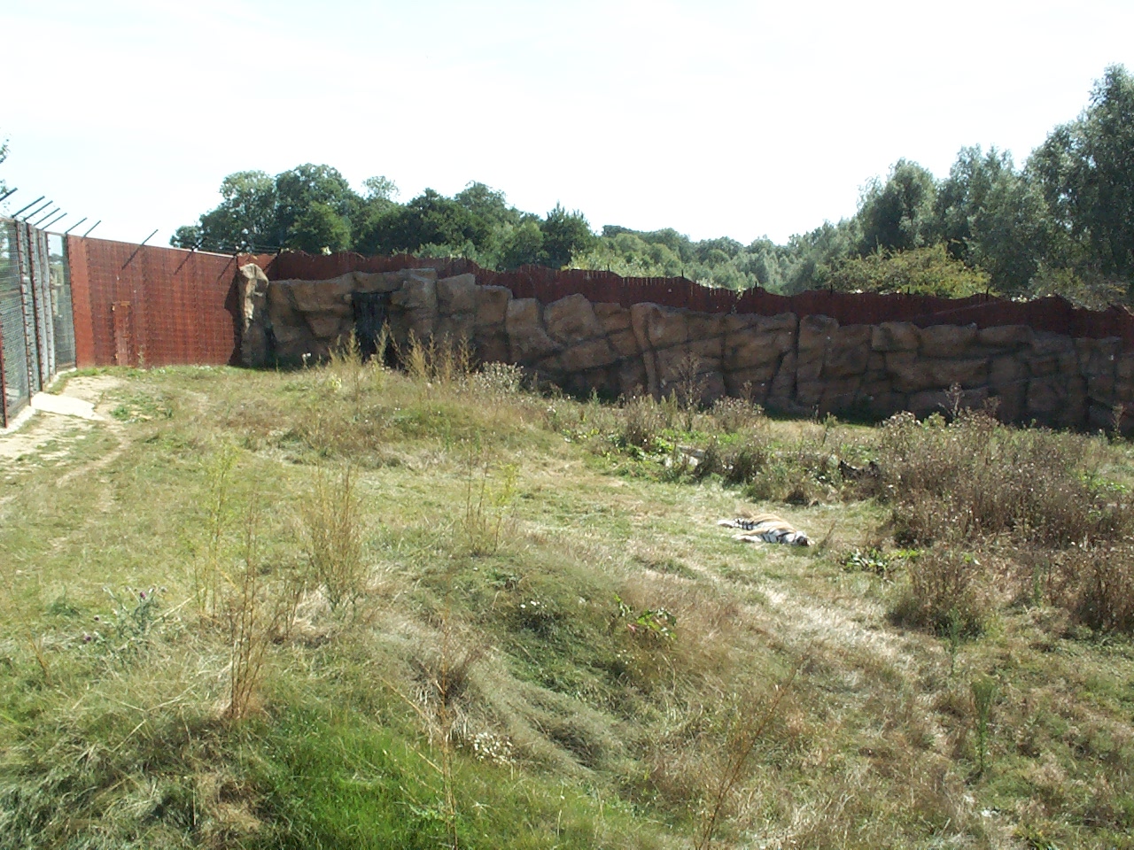 Tiger enclosure in about 2003/4