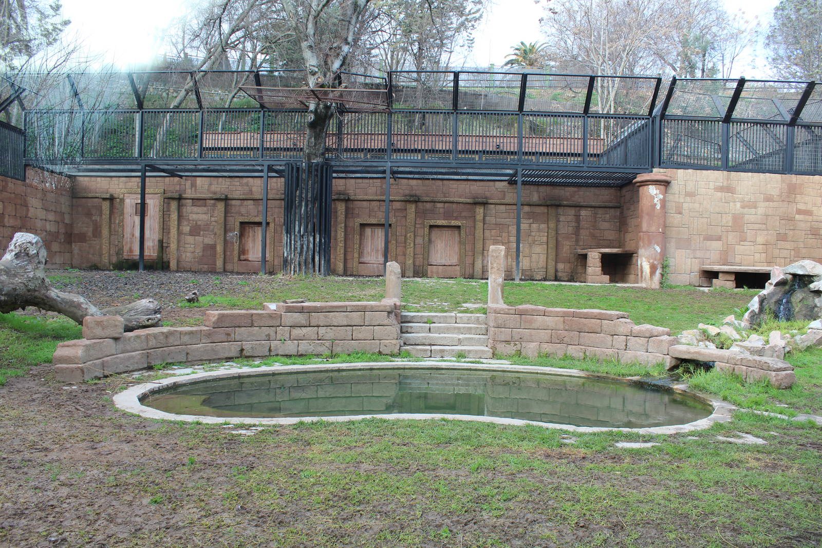 Tiger Enclosure - Jan 2014