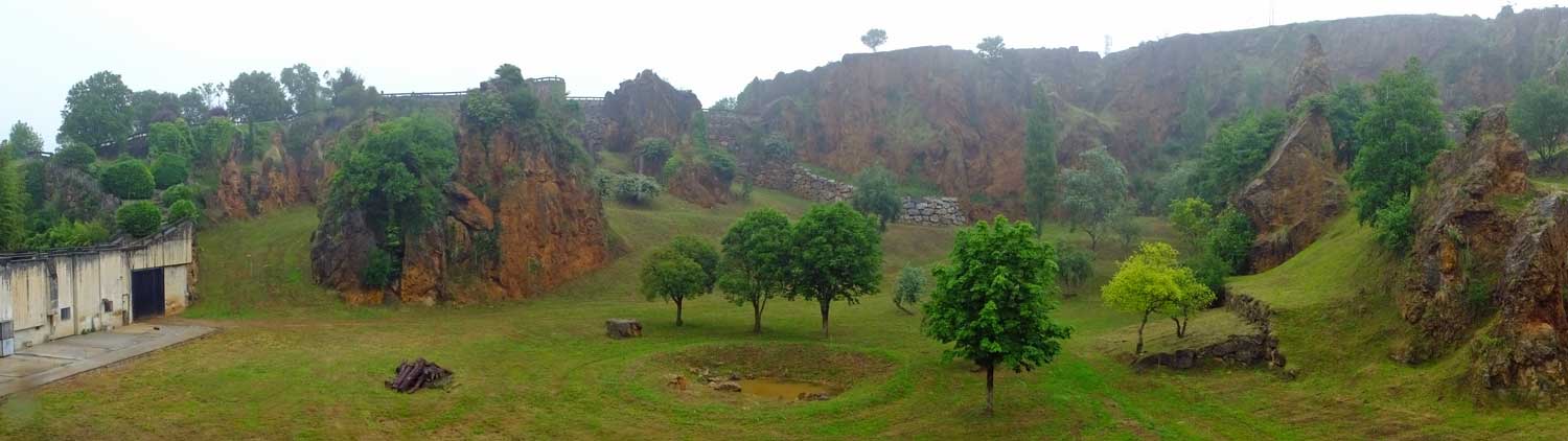 Tiger enclosure (June 2015)