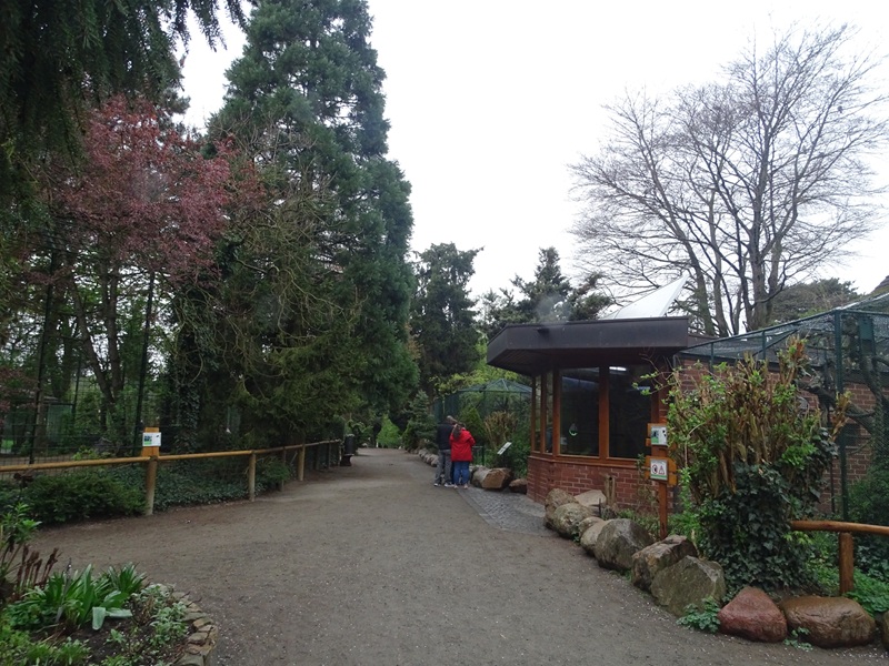 Tiger enclosure left, small monkeys right
