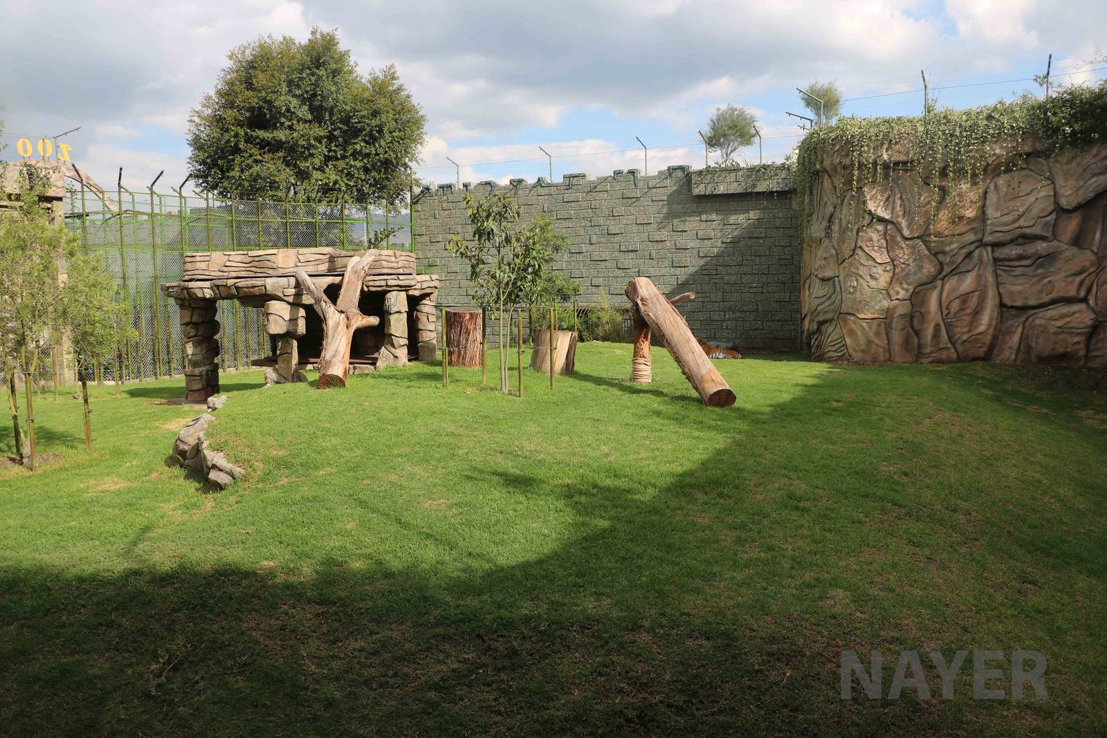 Tiger enclosure, March 2016