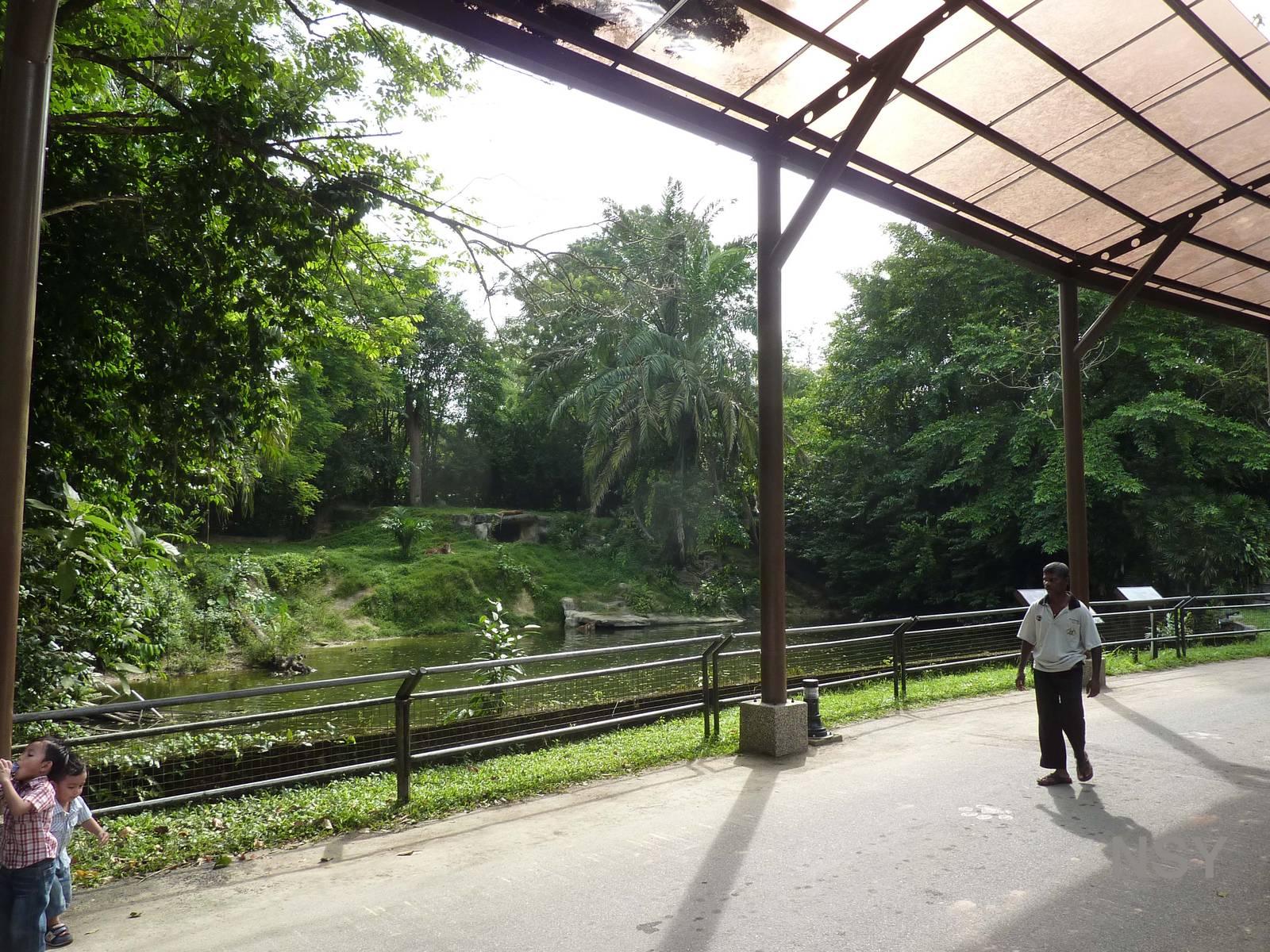 Tiger enclosure, May 2013