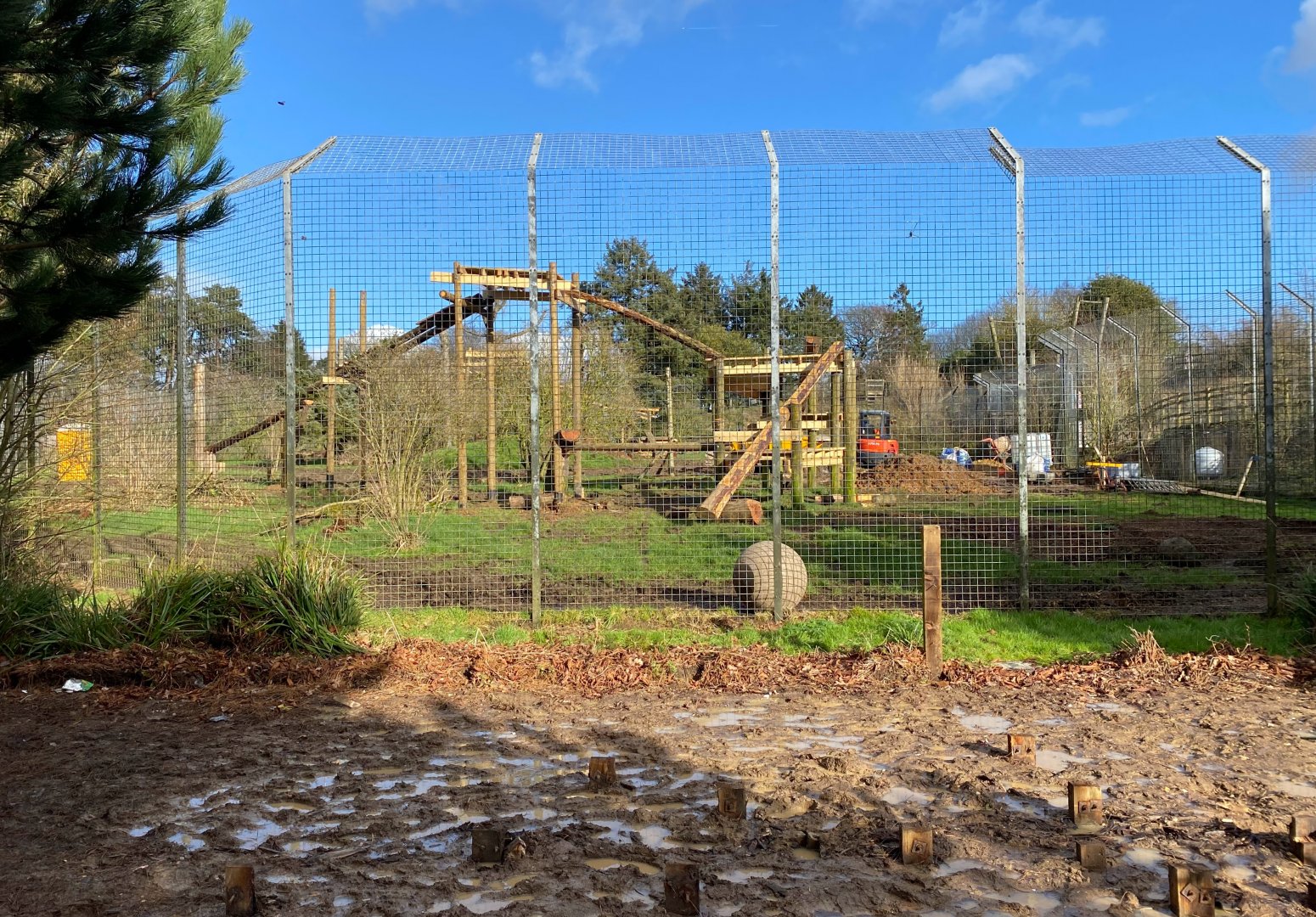 Tiger enclosure new construction, ZSL Whipsnade, UK